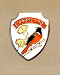 Maryland State Souvenir Shield Pin