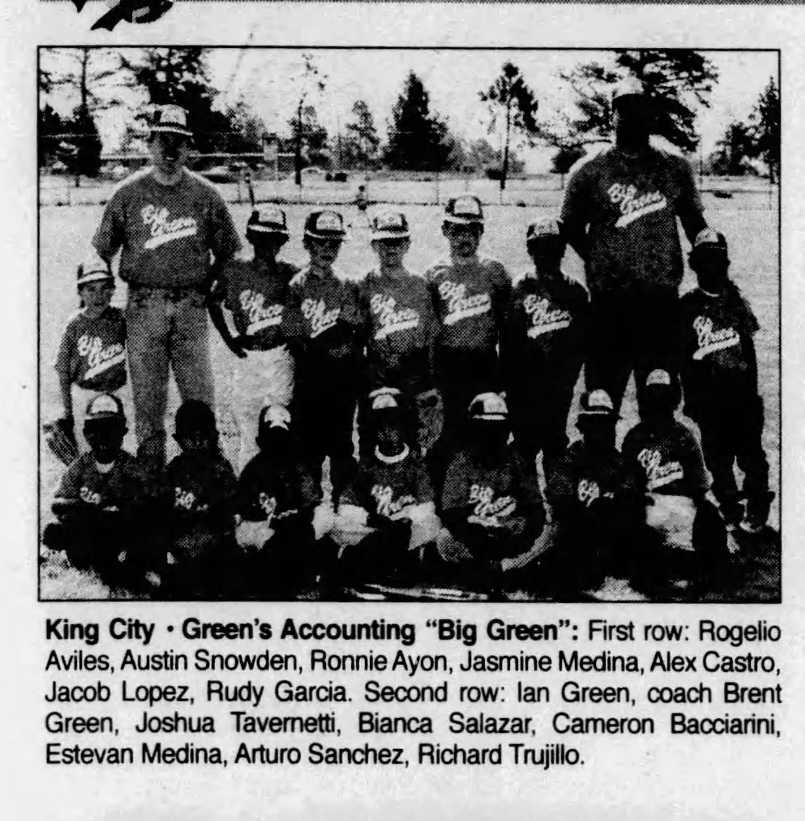 1997 Greens' Accounting Gold Trucker